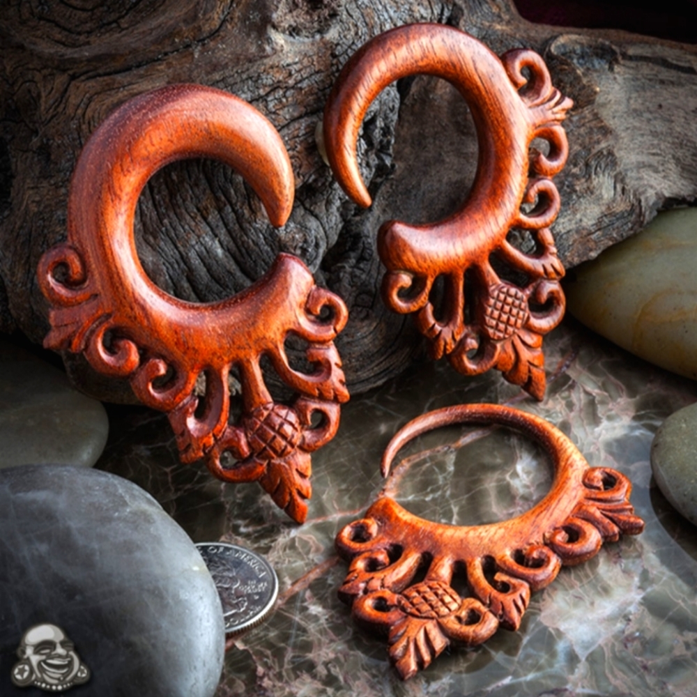 Ornate carved bloodwood jewelry for stretched gauged ears 1/2"